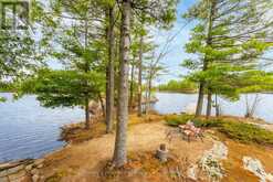 1 1KL - RETLAW ISLAND KAHSHE LAKE | Gravenhurst Ontario | Slide Image Forty