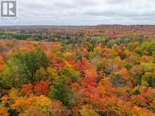 25 FIRE ROUTE 129 | Bobcaygeon Ontario | Slide Image Eight