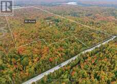25 FIRE ROUTE 129 | Bobcaygeon Ontario | Slide Image Six
