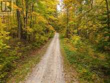 25 FIRE ROUTE 129 | Bobcaygeon Ontario | Slide Image Seven