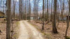 PART 10 TAMMY'S COVE ROAD | Lion's Head Ontario | Slide Image Nine