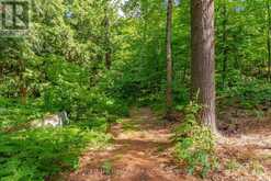 1 SL 19 ROBERTS ISLAND | Utterson Ontario | Slide Image Thirty-one