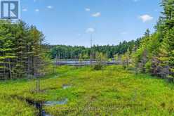 PT LT 33 CON 2 (PT 2) MUSKOKA 118 ROAD W | Port Carling Ontario | Slide Image Ten