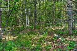 PT LT 33 CON 2 (PT 2) MUSKOKA 118 ROAD W | Port Carling Ontario | Slide Image Seventeen