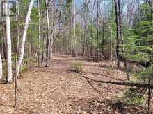 TBD GELERT ROAD | Minden Hills Ontario | Slide Image One