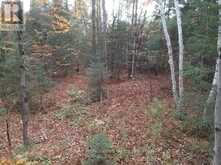 TBD GELERT ROAD | Minden Hills Ontario | Slide Image Two