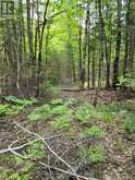 TBD GELERT ROAD | Minden Hills Ontario | Slide Image Three