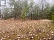 LOT 514 TALL PINES DRIVE | Tiny Ontario | Slide Image One