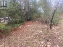 LOT 514 TALL PINES DRIVE | Tiny Ontario | Slide Image Two