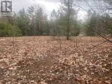 LOT 514 TALL PINES DRIVE | Tiny Ontario | Slide Image Three