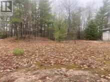 LOT 514 TALL PINES DRIVE | Tiny Ontario | Slide Image Four