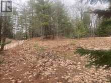 LOT 514 TALL PINES DRIVE | Tiny Ontario | Slide Image Six