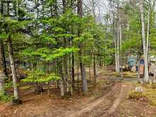 0 MISSION DRIVE | Minden Hills Ontario | Slide Image Six