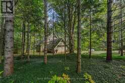 219 BOWLES BLUFF ROAD | Markdale Ontario | Slide Image Three
