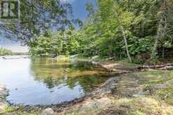 B207-7 WAHSOUNE ISLAND | The Archipelago Ontario | Slide Image Thirty-two