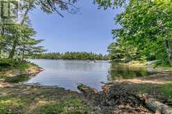 B207-7 WAHSOUNE ISLAND | The Archipelago Ontario | Slide Image Thirty-seven