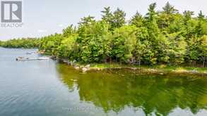 B207-7 WAHSOUNE ISLAND | The Archipelago Ontario | Slide Image Forty-two