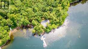 B207-7 WAHSOUNE ISLAND | The Archipelago Ontario | Slide Image Forty-eight