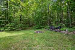 3016 118 HIGHWAY | Bracebridge Ontario | Slide Image Thirty-six