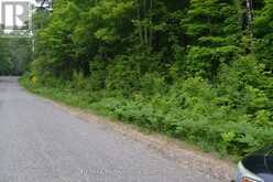0 FERN GLEN ROAD | Emsdale Ontario | Slide Image One
