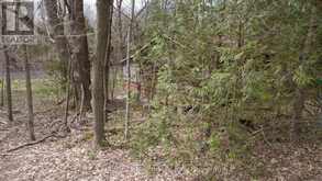 62 ROGER'S CRESCENT | South Bruce Peninsula Ontario | Slide Image Five