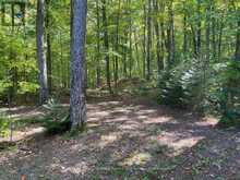 1052 KENSINGTON ROAD | Haliburton Ontario | Slide Image Twenty-eight