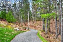 210 - 120 CARRICK TRAIL | Gravenhurst Ontario | Slide Image Thirty-four