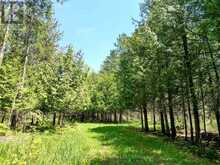 LT 24 CONC RD 6 ROAD | Chatsworth Ontario | Slide Image Ten