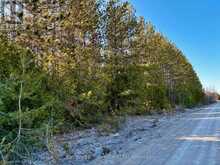 LT 24 CONC RD 6 ROAD | Chatsworth Ontario | Slide Image Thirteen