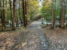 LT 24 CONC RD 6 ROAD | Chatsworth Ontario | Slide Image Eighteen