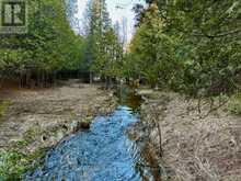 LT 24 CONC RD 6 ROAD | Chatsworth Ontario | Slide Image Nineteen