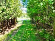 LT 24 CONC RD 6 ROAD | Chatsworth Ontario | Slide Image Three