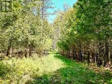 LT 24 CONC RD 6 ROAD | Chatsworth Ontario | Slide Image Eight