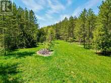 LT 24 CONC RD 6 ROAD | Chatsworth Ontario | Slide Image Four
