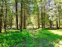 LT 24 CONC RD 6 ROAD | Chatsworth Ontario | Slide Image Six