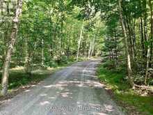 180 CARIBOU LANE | Parry Sound Ontario | Slide Image Thirty-eight