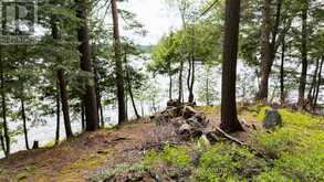 0 MEDA ISLAND LOT 3 | Port Carling Ontario | Slide Image Three