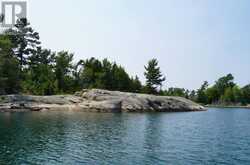 322C MYRTLE ISLAND | Carling Ontario | Slide Image Three