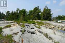 322C MYRTLE ISLAND | Carling Ontario | Slide Image Five