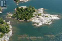 322C MYRTLE ISLAND | Carling Ontario | Slide Image Six