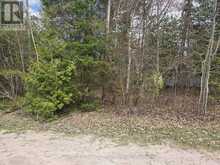 101 SUNNIDALE ROAD N | Wasaga Beach Ontario | Slide Image Seven
