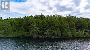 0 MEDA ISLAND LOT 2 | Port Carling Ontario | Slide Image Four