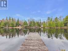 1299 DICKIE LAKE ROAD | Baysville Ontario | Slide Image Thirty-one