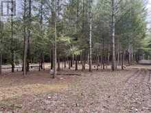 523782 CONCESSION 12 ROAD | Markdale Ontario | Slide Image Three