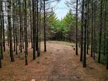 523782 CONCESSION 12 ROAD | Markdale Ontario | Slide Image Five