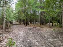 523782 CONCESSION 12 ROAD | Markdale Ontario | Slide Image Two