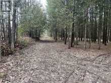 523782 CONCESSION 12 ROAD | Markdale Ontario | Slide Image Four