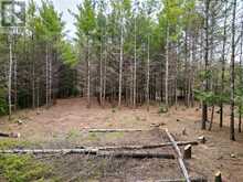 523782 CONCESSION 12 ROAD | Markdale Ontario | Slide Image Six