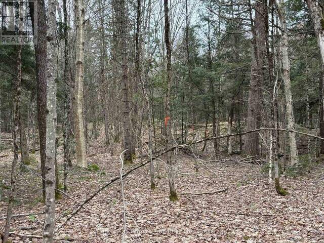 LOT 1 LOCH ERNE ROAD McDougall Ontario, P2A 2W7 - Vacant Land For Sale