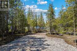 916 DORCAS BAY ROAD | Tobermory Ontario | Slide Image Six